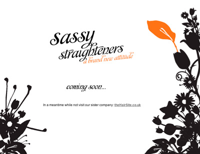 Sassy Straighteners branding