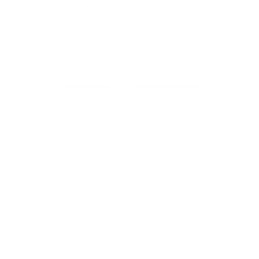bt logo
