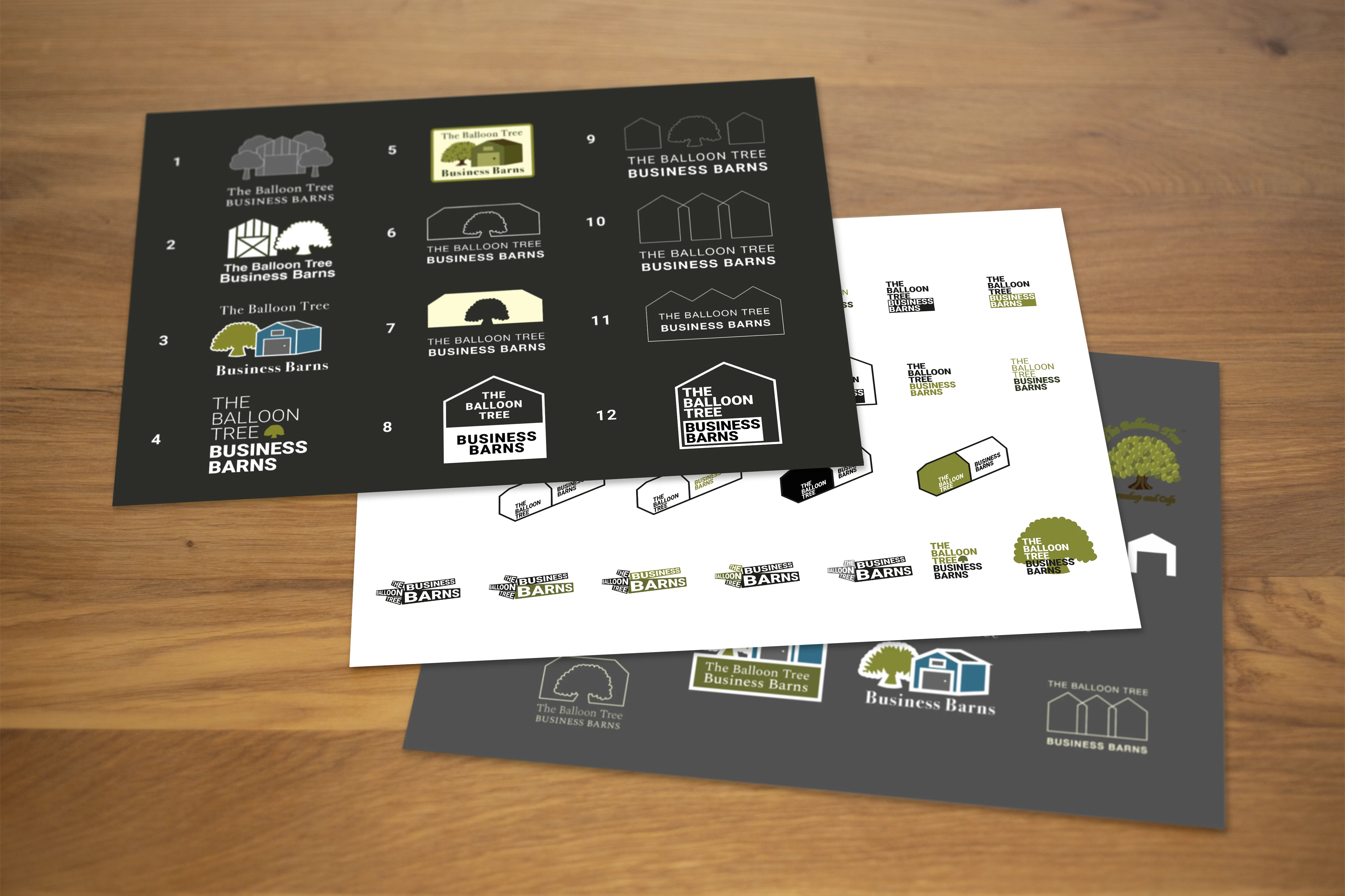 Some of the many itterations and development of ideas for the Balloon Tree logo